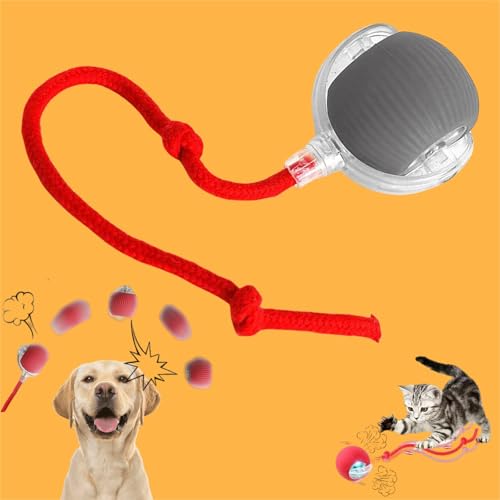 Yagerod Pfotenmond Magie-Ball, Magie-Ball Für Hunde Pfotenmond, Magic Ball Für Hunde, Interactive Play Ball for Dogs, Füll Die Stunden Ohne Dich Mit Spaß Und Action(Rot+Grau – Standard) von Yagerod