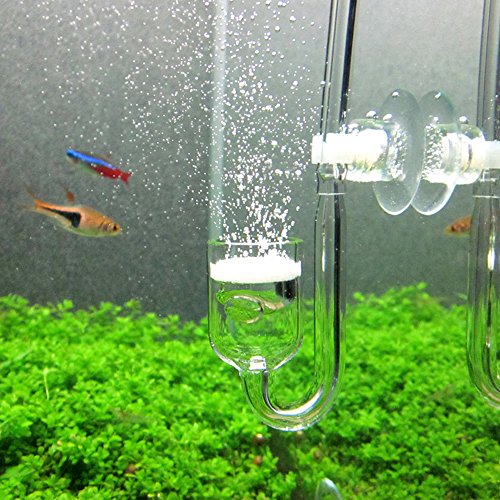 Yagote CO2 Glas Aquarium Zubehör Zubehör CO2-Diffusor CO2 Drop Checker CO2 Bubble Counter Wasserpflanzenhalter Planaria Wurm Leech Trapper für Aquarium bepflanzten Tank, CO2 Diffuser, CO2 Diffuser von Yagote