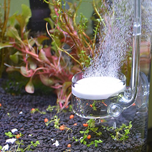 Yagote CO2 Glas Aquarium Zubehör Zubehör CO2-Diffusor CO2 Drop Checker CO2 Bubble Counter Wasserpflanzenhalter Planaria Wurm Leech Trapper für Aquarium bepflanzten Tank, CO2 Diffuser-2inch von Yagote
