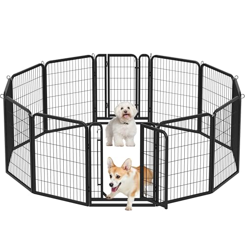 Yaheetech 12-teilig Welpenlaufstall 80cm hoch, Welpenauslauf mit 2 Türen, faltbares Freilaufgehege, Automatische Verriegelung, Tierlaufstall für Wohnung & Garten Yaheetech 12-teilig Welpenlaufstall 80cm hoch, Welpenauslauf mit 2 Türen, faltbares Freilaufgehege, Automatische Verriegelung, Tierlaufstall für Wohnung & Garten von Yaheetech