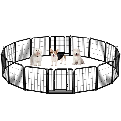 Yaheetech 16-teilig Hundelaufstall 63cm hoch, Hundezaun mit 2 Türen, Welpenlaufstall für Garten, Automatische Verriegelung, Flexibel und faltbar, Für Hund Katze Welpe Kaninchen Meerschweinchen Yaheetech 16-teilig Hundelaufstall 63cm hoch, Hundezaun mit 2 Türen, Welpenlaufstall für Garten, Automatische Verriegelung, Flexibel und faltbar, Für Hund Katze Welpe Kaninchen Meerschweinchen von Yaheetech