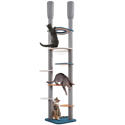 Yaheetech Katzenbaum deckenhoch XXL 241cm-262cm höhenverstellbar, Stabiler Kratzbaum Kletterbaum für Katzen, doppelt Pfosten mit 6 Sisalstämme 6 Plattformen Raumkapsel, Grau Blau Orange Yaheetech Katzenbaum deckenhoch XXL 241cm-262cm höhenverstellbar, Stabiler Kratzbaum Kletterbaum für Katzen, doppelt Pfosten mit 6 Sisalstämme 6 Plattformen Raumkapsel, Grau Blau Orange von Yaheetech