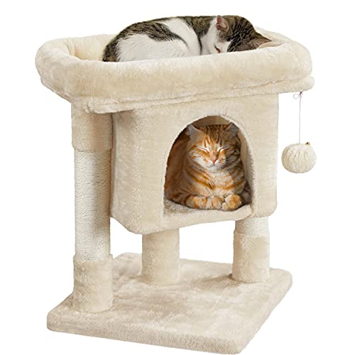 Yaheetech Kratzbaum 60 cm Kleiner Katzenkratzbaum, mit Katzenhöhle Plüsch Sisal, Katzenbaum Katzenmöbel Spielbaum für kleine Katzen, Beige Yaheetech Kratzbaum 60 cm Kleiner Katzenkratzbaum, mit Katzenhöhle Plüsch Sisal, Katzenbaum Katzenmöbel Spielbaum für kleine Katzen, Beige von Yaheetech