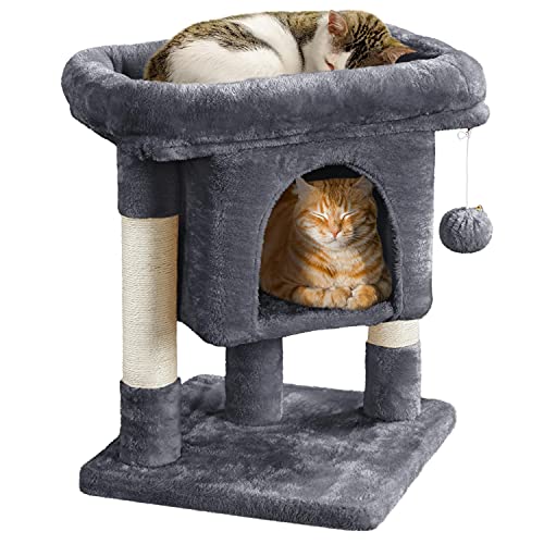 Yaheetech Kratzbaum 60 cm Kleiner Katzenkratzbaum, mit Katzenhöhle Plüsch Sisal, Katzenbaum Katzenmöbel Spielbaum für kleine Katzen, Dunkelgrau Yaheetech Kratzbaum 60 cm Kleiner Katzenkratzbaum, mit Katzenhöhle Plüsch Sisal, Katzenbaum Katzenmöbel Spielbaum für kleine Katzen, Dunkelgrau von Yaheetech
