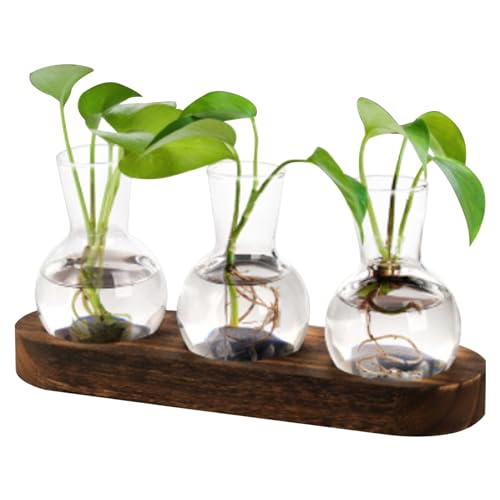 Pflanzenpropagationsstation, Terrariumglas mit Holzständer, Pflanzen Terrarium Desktop Clear Glass Vase, 3 Glühbirnen -Zimmerpflanzen Glasvase für Hydroponikpflanzen Geschenk für Pflanzenliebhaber Ho von Yahunosu