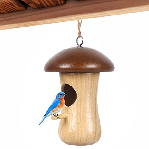 Nistkästen für Kolibri, zu Aufhängen von Häusern für Nestschaukel im Freien – Vogelhäuser in Pilzform aus Holz für den Außenbereich Yajexun von Yajexun