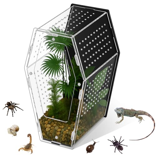 Yalikop Acryl Springspinne Habitat Vielseitiges Reptiliengehege Transparentes Insektenterrarium Lebensraum für Spinnen, Vogelspinne, Gecko, Chamäleon, Käfer, Mantis und Einsiedlerkrebs Yalikop Acryl Springspinne Habitat Vielseitiges Reptiliengehege Transparentes Insektenterrarium Lebensraum für Spinnen, Vogelspinne, Gecko, Chamäleon, Käfer, Mantis und Einsiedlerkrebs von Yalikop