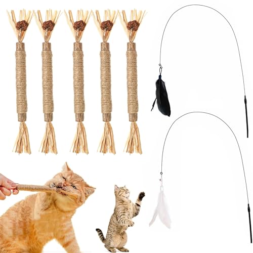 YanBous 5er Set Katzenkausticks & 2 Spielangeln - Zahnpflege & Spaß, Natürliche Zahnreinigungsstäbchen gegen Mundgeruch, Interaktives Spielzeug, fördert die Gesundheit der Katze YanBous 5er Set Katzenkausticks & 2 Spielangeln - Zahnpflege & Spaß, Natürliche Zahnreinigungsstäbchen gegen Mundgeruch, Interaktives Spielzeug, fördert die Gesundheit der Katze von YanBous