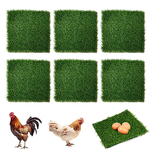 Hühner-Nistunterlage, waschbare Grasmatten, wiederverwendbar, Hühnernest, künstliche Nistunterlagen, Geflügelstall, Zubehör für Hühnerstall, 30 x 30 cm, 6 Stück Hühner-Nistunterlage, waschbare Grasmatten, wiederverwendbar, Hühnernest, künstliche Nistunterlagen, Geflügelstall, Zubehör für Hühnerstall, 30 x 30 cm, 6 Stück von YangHaoDiSY