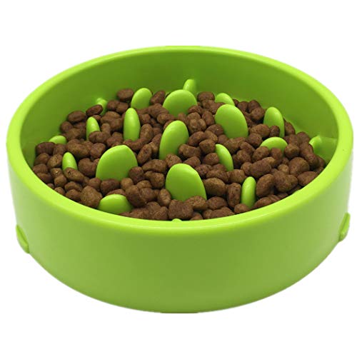 Slow Feeder Hundenapf, Hundenäpfe zum Verlangsamen des Fressens, Katzen- und Hundenäpfe für kleine mittelgroße Haustiere, Grün von YangHaoDiSY