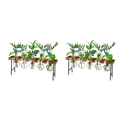Yangyou 2X Vermehrungsstationen Desktop-Luftpflanzen-Terrarium, Glas-Pflanzgefäß, Glasvase mit Holzständer - Pflanzenterrarium von Yangyou
