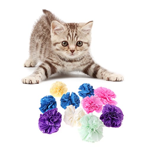 Yanhonin 5 Stück Katzenspielzeug – bunte Papierkugel Interaktives Spielzeug von Yanhonin