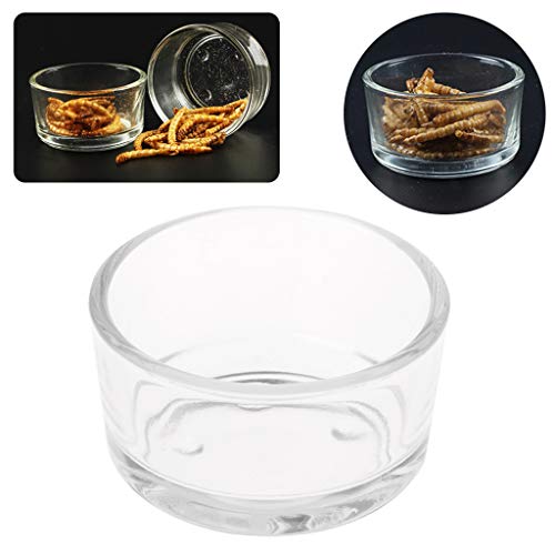 Yanhonin Schüssel für Reptilien und Amphibien, Fressnapf, Wasserschüssel, Zubehör Terraristik Yanhonin Schüssel für Reptilien und Amphibien, Fressnapf, Wasserschüssel, Zubehör Terraristik von Yanhonin