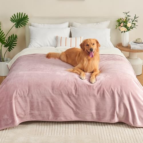 Yaning Wasserdichte Decke für Erwachsene, wendbar, wasserdicht, für Hunde, Katzen, Haustiere, weiche, auslaufsichere Decke für Bett, Couch, Sofa, Möbelschutz, 203,2 x 228,6 cm, Altrosa/gebrochenes Yaning Wasserdichte Decke für Erwachsene, wendbar, wasserdicht, für Hunde, Katzen, Haustiere, weiche, auslaufsichere Decke für Bett, Couch, Sofa, Möbelschutz, 203,2 x 228,6 cm, Altrosa/gebrochenes von Yaning