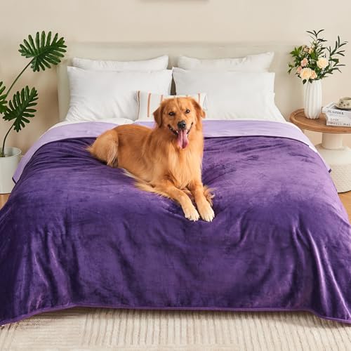Yaning Wasserdichte Decke für Erwachsene, wendbar, wasserdicht, für Hunde, Katzen, Haustiere, weiche, auslaufsichere Decke für Bett, Couch, Sofa, Möbelschutz, Dunkelviolett/Hellviolett, 203,2 x 228,6 Yaning Wasserdichte Decke für Erwachsene, wendbar, wasserdicht, für Hunde, Katzen, Haustiere, weiche, auslaufsichere Decke für Bett, Couch, Sofa, Möbelschutz, Dunkelviolett/Hellviolett, 203,2 x 228,6 von Yaning