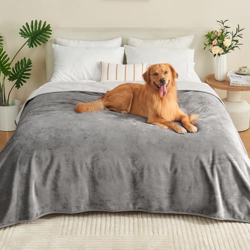 Yaning Wasserdichte Decke für Erwachsene, wendbar, wasserdicht, für Hunde, Katzen, Haustiere, weiche, auslaufsichere Decke für Bett, Couch, Sofa, Möbelschutz, Grau/Hellgrau Yaning Wasserdichte Decke für Erwachsene, wendbar, wasserdicht, für Hunde, Katzen, Haustiere, weiche, auslaufsichere Decke für Bett, Couch, Sofa, Möbelschutz, Grau/Hellgrau von Yaning
