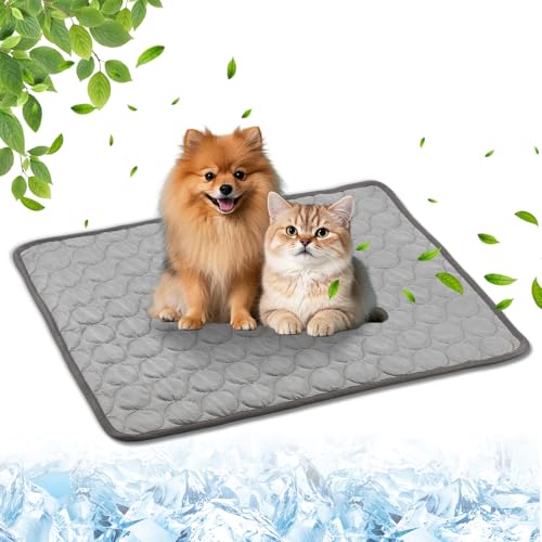 Yanlin 70x55cm Kühlmatte für Den Sommer, L, Grau, Kühlmatte für Hunde Selbst, Kühlkissen Hundematte, Hundekühlmatte für Hund & Katze Selbstkühlende Matte, rutschfeste, Waschbare, Atmungsaktiv Yanlin 70x55cm Kühlmatte für Den Sommer, L, Grau, Kühlmatte für Hunde Selbst, Kühlkissen Hundematte, Hundekühlmatte für Hund & Katze Selbstkühlende Matte, rutschfeste, Waschbare, Atmungsaktiv von Yanlin