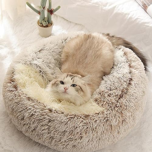 Halb geschlossenes rundes Hundebett, Hund Katze Schlafbett, flauschig, bequem, wärmend, Katzenhöhle Betten, maschinenwaschbar, Haustierbett mit rutschfester Unterseite Halb geschlossenes rundes Hundebett, Hund Katze Schlafbett, flauschig, bequem, wärmend, Katzenhöhle Betten, maschinenwaschbar, Haustierbett mit rutschfester Unterseite von Yanman