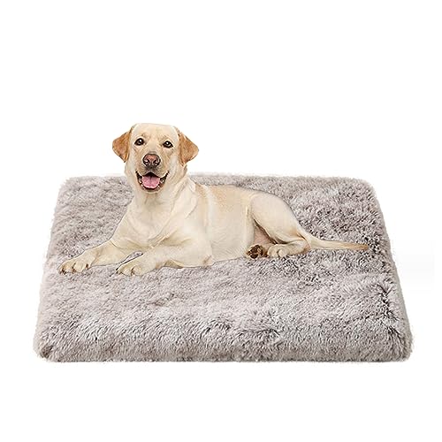 Haustierbett für große Hunde, abnehmbares, leicht zu reinigendes Hundebett mit Reißverschluss, Schaumstoff, strapazierfähige Hundematratze, Plüsch, wärmendes Hundekäfigkissen Haustierbett für große Hunde, abnehmbares, leicht zu reinigendes Hundebett mit Reißverschluss, Schaumstoff, strapazierfähige Hundematratze, Plüsch, wärmendes Hundekäfigkissen von Yanman
