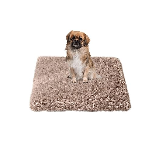 Haustierbett für große Hunde, abnehmbares, leicht zu reinigendes Hundebett mit Reißverschluss, Schaumstoff, strapazierfähige Hundematratze, Plüsch, wärmendes Hundekäfigkissen Haustierbett für große Hunde, abnehmbares, leicht zu reinigendes Hundebett mit Reißverschluss, Schaumstoff, strapazierfähige Hundematratze, Plüsch, wärmendes Hundekäfigkissen von Yanman