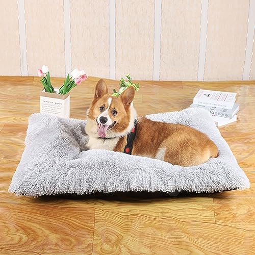 Haustierbett für große Hunde, waschbar, rutschfestes Hundebett mit wasserdichter Oxford-Unterseite, beruhigende Hundekäfigbetten, menschliche Größe Haustiermatratze Haustierbett für große Hunde, waschbar, rutschfestes Hundebett mit wasserdichter Oxford-Unterseite, beruhigende Hundekäfigbetten, menschliche Größe Haustiermatratze von Yanman