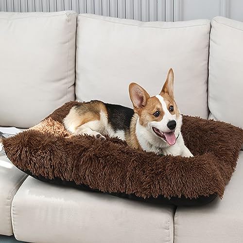 Hundebett für kleine, mittelgroße und große Hunde, beruhigende Hundebetten mit rutschfester Unterseite, bequem, maschinenwaschbar, Anti-Angst-Schlafmatte Hundebett für kleine, mittelgroße und große Hunde, beruhigende Hundebetten mit rutschfester Unterseite, bequem, maschinenwaschbar, Anti-Angst-Schlafmatte von Yanman