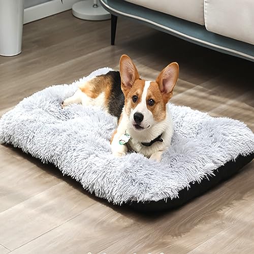 Hundebett für kleine, mittelgroße und große Hunde, beruhigende Hundebetten mit rutschfester Unterseite, bequem, maschinenwaschbar, Anti-Angst-Schlafmatte Hundebett für kleine, mittelgroße und große Hunde, beruhigende Hundebetten mit rutschfester Unterseite, bequem, maschinenwaschbar, Anti-Angst-Schlafmatte von Yanman