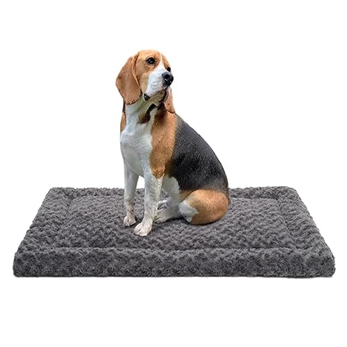 Hundekäfigbett für große und mittelgroße, flauschige, weiche, beruhigende Hundekissen, leicht zu reinigen, rechteckige Hundematratze, wendbar, leicht Hundekäfigbett für große und mittelgroße, flauschige, weiche, beruhigende Hundekissen, leicht zu reinigen, rechteckige Hundematratze, wendbar, leicht von Yanman