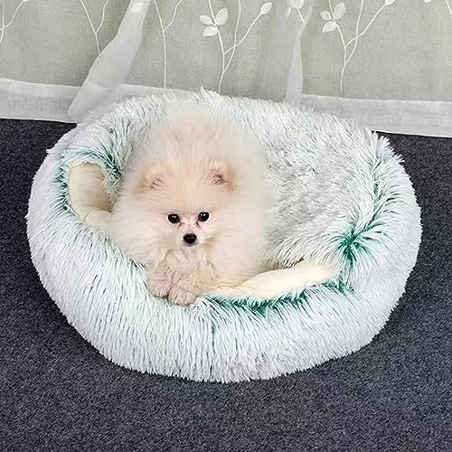 Yanman Donut Hundebett mit rutschfester Unterseite, rundes Katzenbett, waschbares Kunstfell-Plüsch-Haustierbett, maschinenwaschbar, Hundebetten für große, mittelgroße und kleine Hunde Yanman Donut Hundebett mit rutschfester Unterseite, rundes Katzenbett, waschbares Kunstfell-Plüsch-Haustierbett, maschinenwaschbar, Hundebetten für große, mittelgroße und kleine Hunde von Yanman