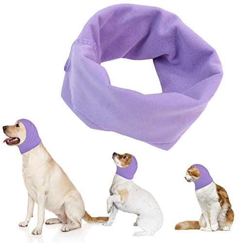 Hund Snood Hund Ohrenschützer für Hunde Gehörschutz Hund Hoodie für Hund Hals und Ohrenwärmer Hund Ohrenschützer Lärmschutz Haustier Snood für Hunde und Katzen (Violett, M) Hund Snood Hund Ohrenschützer für Hunde Gehörschutz Hund Hoodie für Hund Hals und Ohrenwärmer Hund Ohrenschützer Lärmschutz Haustier Snood für Hunde und Katzen (Violett, M) von Yanmucy