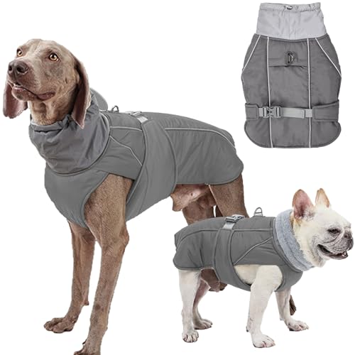 Hundemantel Wasserdicht Rollkragen Winterhundekleidung Verdickte Hund Warme Hundejacke mit Geschirr Loch Reflektierende Mäntel Jacken Weste Mantel für kleine mittlere große Hunde (Grau, 2XL) von Yanmucy