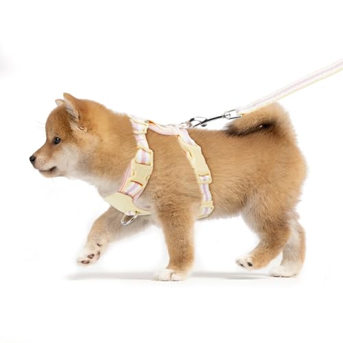 Hundegeschirr für kleine Hunde, kein Ziehen, 2,3–5,4 kg, verstellbare gepolsterte Weste mit Leine, Haustiergeschirr für Spaziergangstraining Hundegeschirr für kleine Hunde, kein Ziehen, 2,3–5,4 kg, verstellbare gepolsterte Weste mit Leine, Haustiergeschirr für Spaziergangstraining von Yanvega