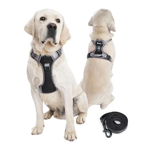 Hundegeschirr für kleine mittelgroße Hunde, atmungsaktiv, kein Ziehen, reflektierend, mit Griff, leicht zu Fuß zu gehen, Hundegeschirr für Welpentraining, Outdoor und den täglichen Gebrauch (Schwarz, Hundegeschirr für kleine mittelgroße Hunde, atmungsaktiv, kein Ziehen, reflektierend, mit Griff, leicht zu Fuß zu gehen, Hundegeschirr für Welpentraining, Outdoor und den täglichen Gebrauch (Schwarz, von Yanvega
