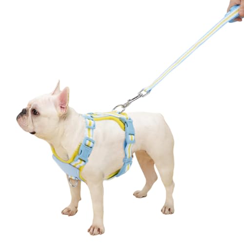 Hundegeschirr und Leine, Set für kleine Welpen, mit Sicherheitsschnallen, Hundegeschirr für 2,3–5,4 kg Haustiere im Freien Hundegeschirr und Leine, Set für kleine Welpen, mit Sicherheitsschnallen, Hundegeschirr für 2,3–5,4 kg Haustiere im Freien von Yanvega