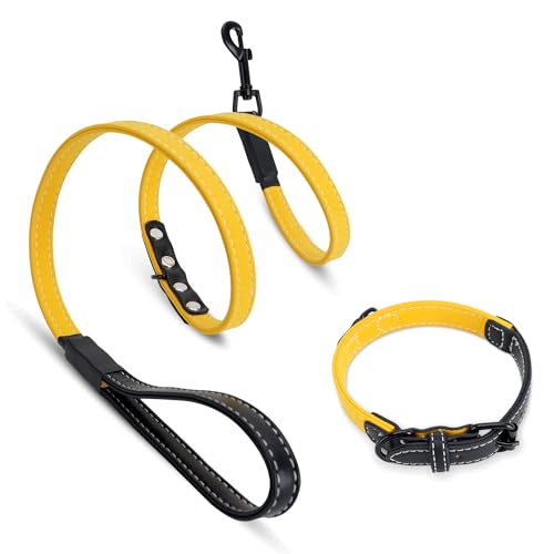 Hundehalsband und Leine, Set für kleine, mittelgroße und große Leder-Hundeleine mit verstellbarem Welpenhalsband für Training, Spaziergänge Hundehalsband und Leine, Set für kleine, mittelgroße und große Leder-Hundeleine mit verstellbarem Welpenhalsband für Training, Spaziergänge von Yanvega