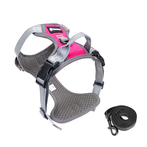 Reflektierendes Hundegeschirr mit Griff für kleine Hunde, verstellbares Hundegeschirr und Leine, Set mit 2 D-Ringen Reflektierendes Hundegeschirr mit Griff für kleine Hunde, verstellbares Hundegeschirr und Leine, Set mit 2 D-Ringen von Yanvega