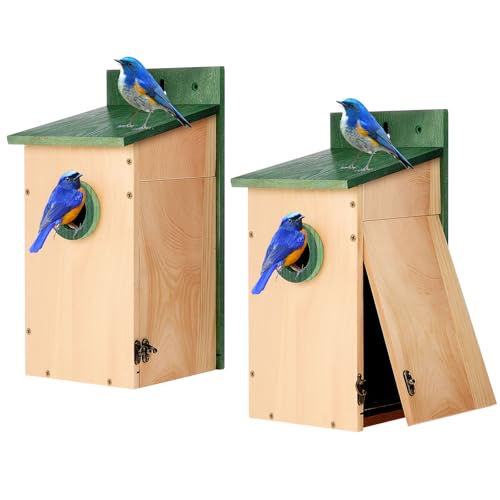 Yaocom Vogelhäuser für den Außenbereich, 30,5 cm hoch, Holz, Nistkasten, Wandbaumstange, montierbar, strapazierfähig, Vogelhaus, Raubfischschutz für Bluebird Zaun, Schwalbe, Finken, 2 Stück Yaocom Vogelhäuser für den Außenbereich, 30,5 cm hoch, Holz, Nistkasten, Wandbaumstange, montierbar, strapazierfähig, Vogelhaus, Raubfischschutz für Bluebird Zaun, Schwalbe, Finken, 2 Stück von Yaocom