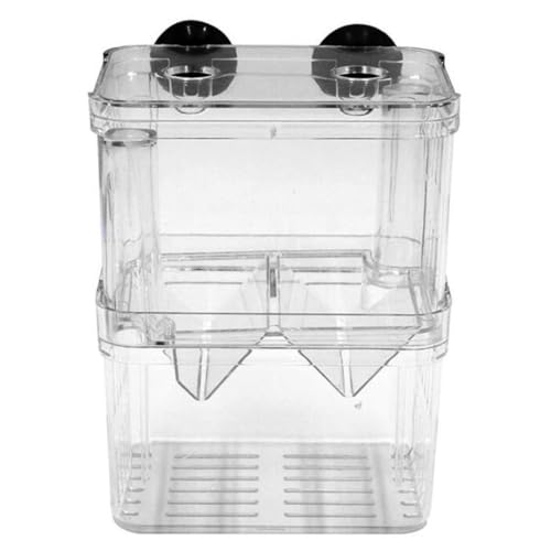 Fisch Brutbox Aquarium Inkubator Fry Brüterei Isolation Box Fisch Eltern Behälterteiler mit Saugnäpfeln Doppelschichten Acryl transparent L, Fischbrüte Isolation Box Fisch Brutbox Aquarium Inkubator Fry Brüterei Isolation Box Fisch Eltern Behälterteiler mit Saugnäpfeln Doppelschichten Acryl transparent L, Fischbrüte Isolation Box von Yaoliucp