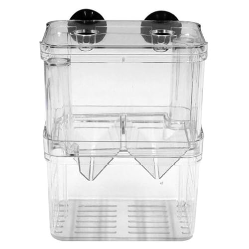 Fischzüchtungsbox Aquarium Inkubator Fry Beilery Isolation Box Fisch Eltern Behälterteiler mit Saugbechern Doppelschichten Acryl transparent L, Fischzuchtschachtel Fischzüchtungsbox Aquarium Inkubator Fry Beilery Isolation Box Fisch Eltern Behälterteiler mit Saugbechern Doppelschichten Acryl transparent L, Fischzuchtschachtel von Yaoliucp