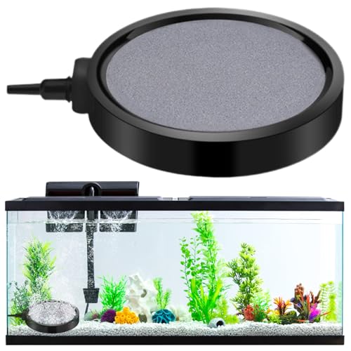 Luftstein für Aquarienfischtank, 4,1 Zoll Stummschande Aquariumluftstein mit dichtem Blasen, Fischtankluftsteinblasendiffusor für Hydrokroponik, kleine professionelle Aquarien, Fischgeschäfte Luftstein für Aquarienfischtank, 4,1 Zoll Stummschande Aquariumluftstein mit dichtem Blasen, Fischtankluftsteinblasendiffusor für Hydrokroponik, kleine professionelle Aquarien, Fischgeschäfte von Yaoliucp