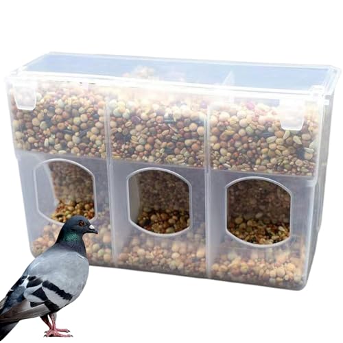 Taubenfuttermittel Wasser Vogelhuhner Wasserspender Trinker mit 3 Loch Haustierschalen & Futterhäuschen Essen Essen von Yaoliucp