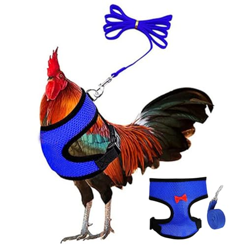 Yaoliucp Hühnchenkabelbaum, verstellbare Hühnerleine mit Langer Leine Hene Weste Atmungsbares Mesh -Trainingskabelbaum und Leine für weniger als 2,5/3lbs Enten Henne, s Yaoliucp Hühnchenkabelbaum, verstellbare Hühnerleine mit Langer Leine Hene Weste Atmungsbares Mesh -Trainingskabelbaum und Leine für weniger als 2,5/3lbs Enten Henne, s von Yaoliucp