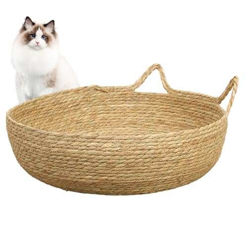 Yaoliucp Katzenbetten für Innenkatzen, komfortable runde kühlende Rattan -Katzenbett, tragbares und leichtes Katzenkorbbett für Innen- und Saisonkatze, Welpe, Kätzchen, kleines Tier Yaoliucp Katzenbetten für Innenkatzen, komfortable runde kühlende Rattan -Katzenbett, tragbares und leichtes Katzenkorbbett für Innen- und Saisonkatze, Welpe, Kätzchen, kleines Tier von Yaoliucp
