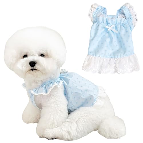 Haustier-Hundekleid, Größe XS, Blumendruck, Sommerkleidung, Rüschenbesatz, Welpen-Shirts für kleine Hunde, Blau und Rosa, 2er-Pack (Blau, XS (0,5–1,5 kg)) von Yaopelky