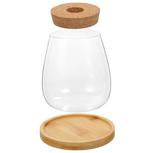 Yardenfun 1 Satz Glasvase für Sukkulenten Kreativer Blumentopf für Hydroponische Pflanzen Tischdekoration für Kerzen und Blumenarrangements Design für Zuhause Yardenfun 1 Satz Glasvase für Sukkulenten Kreativer Blumentopf für Hydroponische Pflanzen Tischdekoration für Kerzen und Blumenarrangements Design für Zuhause von Yardenfun