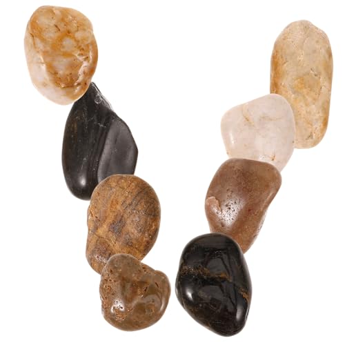 Yardenfun 1 Satz Kopfsteinpflaster Kieselgur Pebble blumentöpfe übertopf kelchgläser schwimmpool Netz Luft blumenkübel deko Gartenfelsen, Landschaftsbau im Freien Kieselsteine für Pflanzen Yardenfun 1 Satz Kopfsteinpflaster Kieselgur Pebble blumentöpfe übertopf kelchgläser schwimmpool Netz Luft blumenkübel deko Gartenfelsen, Landschaftsbau im Freien Kieselsteine für Pflanzen von Yardenfun