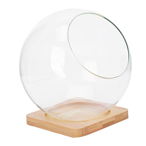 Yardenfun DIY Vase Runde Glasvase Sukkulenten Terrarium Für Pflanzen Glaskugel Kerzenhalter Fischschale Geometrisches Terrarium Air von Yardenfun