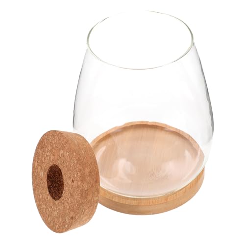 Yardenfun Micro Landschaft Ökologische Flasche Terrarium Glasgefäß für Hydroponik Pflanzen Kompakte Pflanzenhalterung für Innenräume 1 Satz Yardenfun Micro Landschaft Ökologische Flasche Terrarium Glasgefäß für Hydroponik Pflanzen Kompakte Pflanzenhalterung für Innenräume 1 Satz von Yardenfun