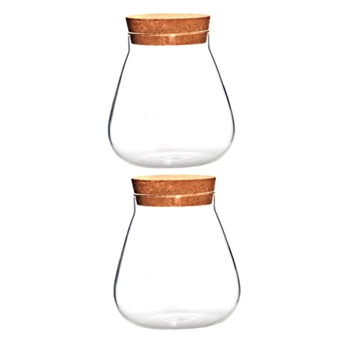Yardenfun Landschaftsvase 2er-Pack Glasversiegelungsgläser Dekorative Pflanzen-Terrarium-Flasche Bastelbedarf Für Zuhause Yardenfun Landschaftsvase 2er-Pack Glasversiegelungsgläser Dekorative Pflanzen-Terrarium-Flasche Bastelbedarf Für Zuhause von Yardenfun