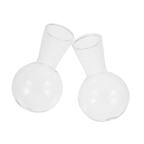 Yardenfun Hydrokultur-Glasvase-Set 2-teilig Blumenzwiebel-Terrarien für die Pflanzenvermehrung Yardenfun Hydrokultur-Glasvase-Set 2-teilig Blumenzwiebel-Terrarien für die Pflanzenvermehrung von Yardenfun